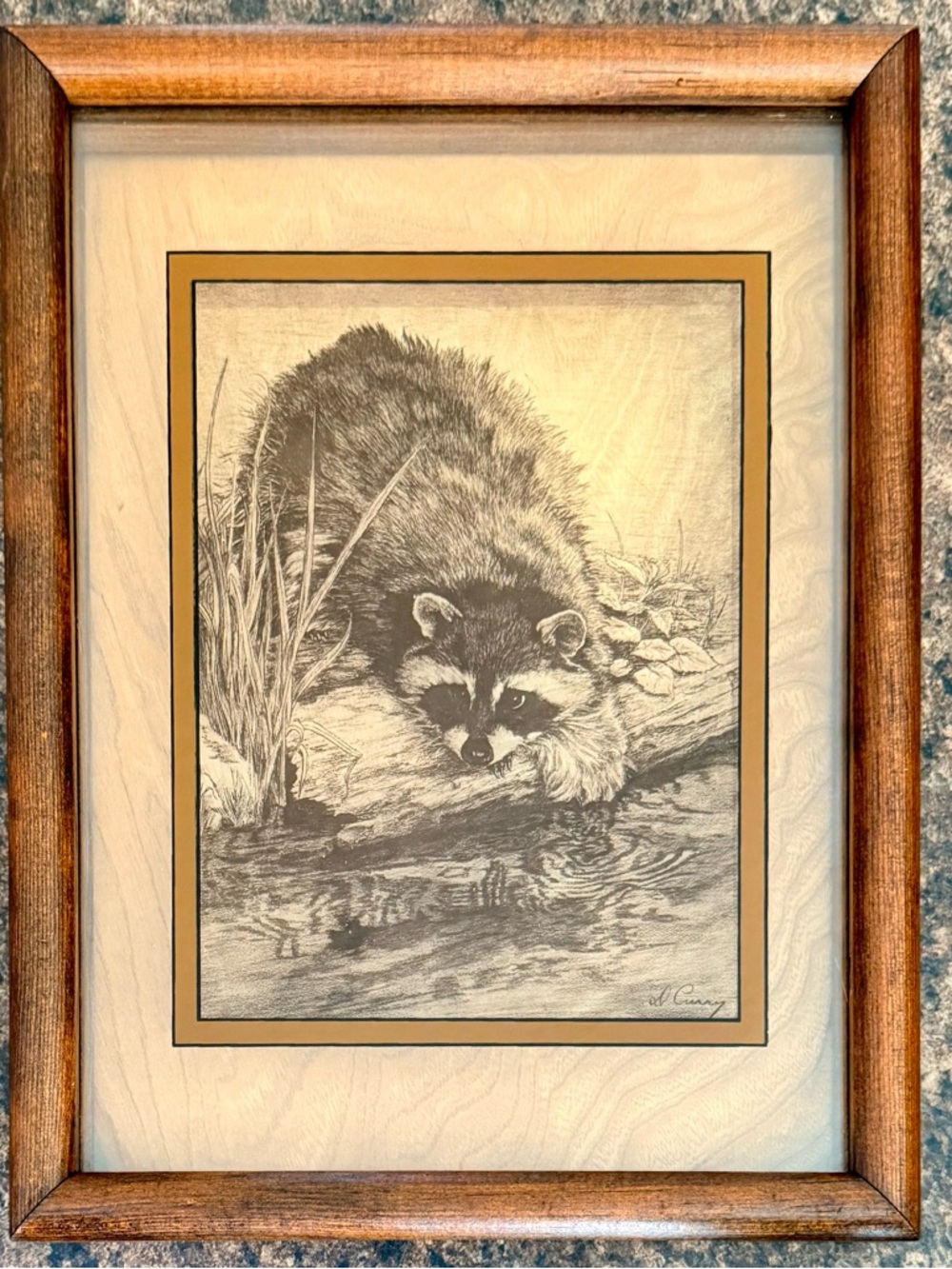Dennis Curry Signed Raccoon Photograph Raccoon Etched on Glass in Original Frame